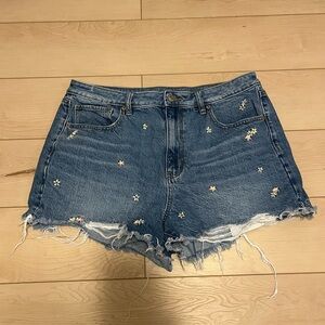 American Eagle Embroidered Shorts